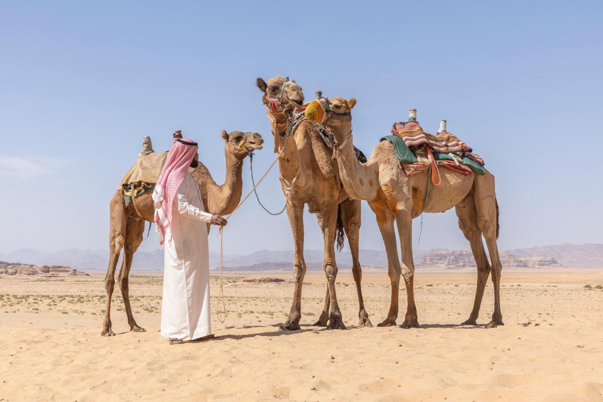 Wadi Rum Camp & Jeep Tour ภายนอก รูปภาพ